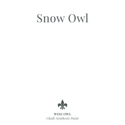 Snow Owl - Wise Owl Chalk Synthesis Paint 16 oz