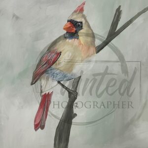 Female Cardinal - Connie Rice Paper