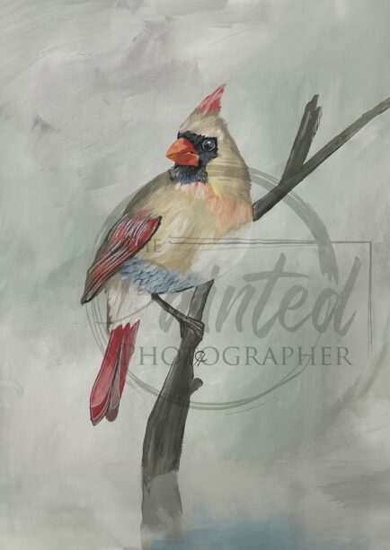 Female Cardinal - Connie Rice Paper