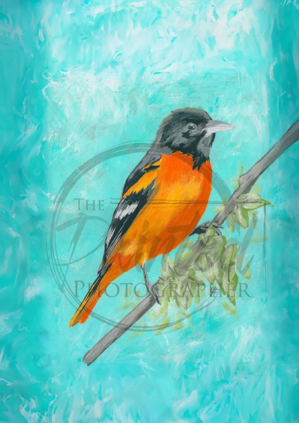 Oriole - Connie's Rice Paper