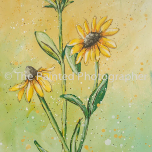 Show Off Black Eyed Susan - Connie Rice Paper