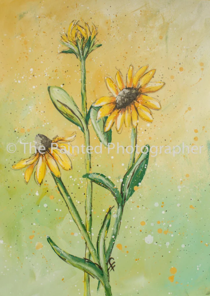 Show Off Black Eyed Susan - Connie Rice Paper